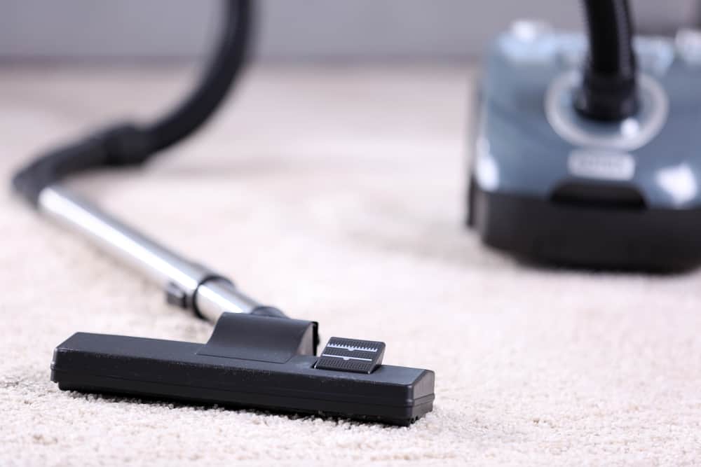 Why You Should Choose a Canister Vacuum