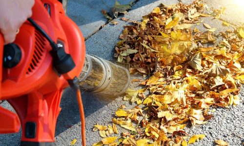 Types Of Leaf Blowers