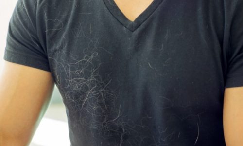 How to Get Hair off Clothes without a Lint Roller