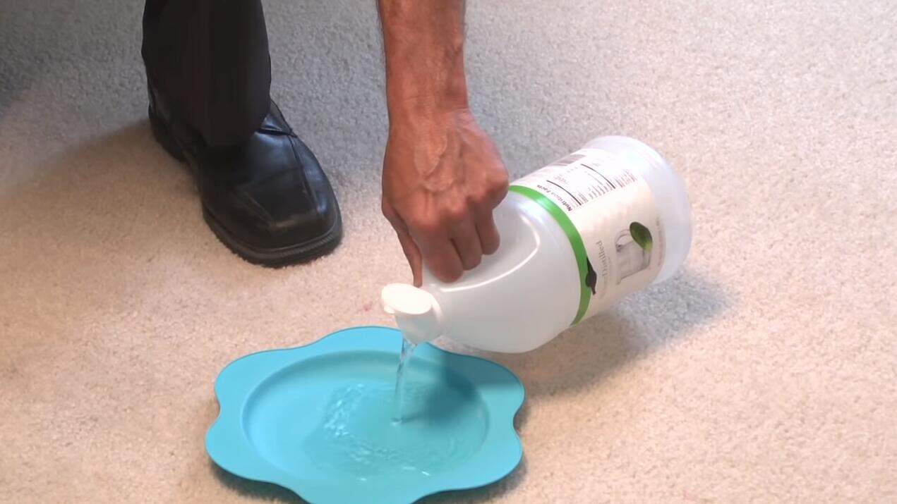 use some cleaners and try to get the mold out of the carpet