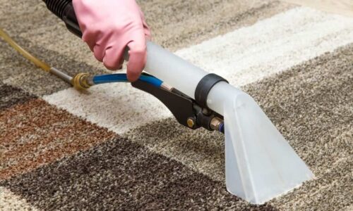 Reasons to Get Your Carpets Professionally Cleaned
