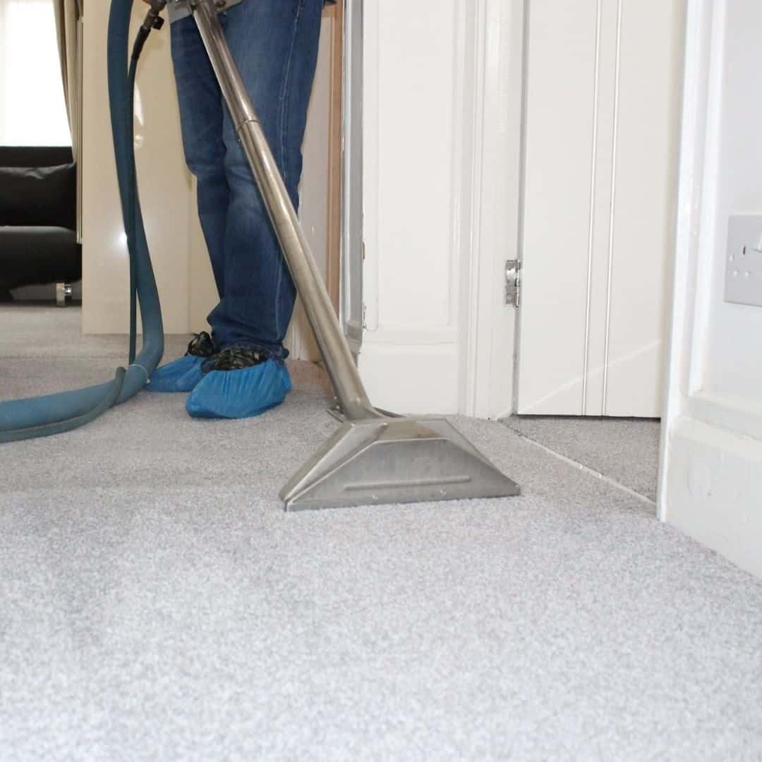 clean carpet