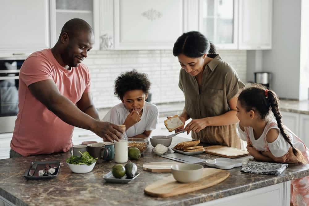 Post-Pest Control Ways to Keep Your Kitchen Clean