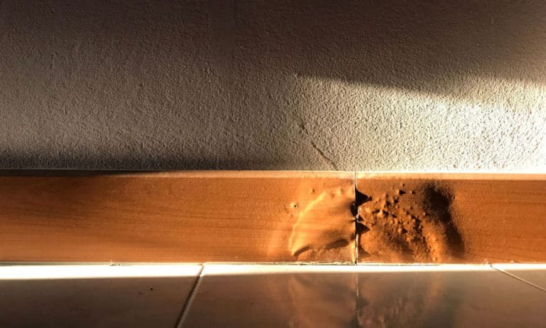 What Causes Water Damage to Your Home's Baseboards and How to Deal with Them