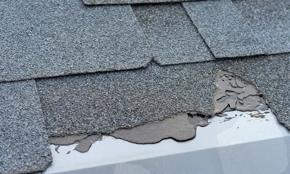 Roofing Issues That Need Your Immediate Attention